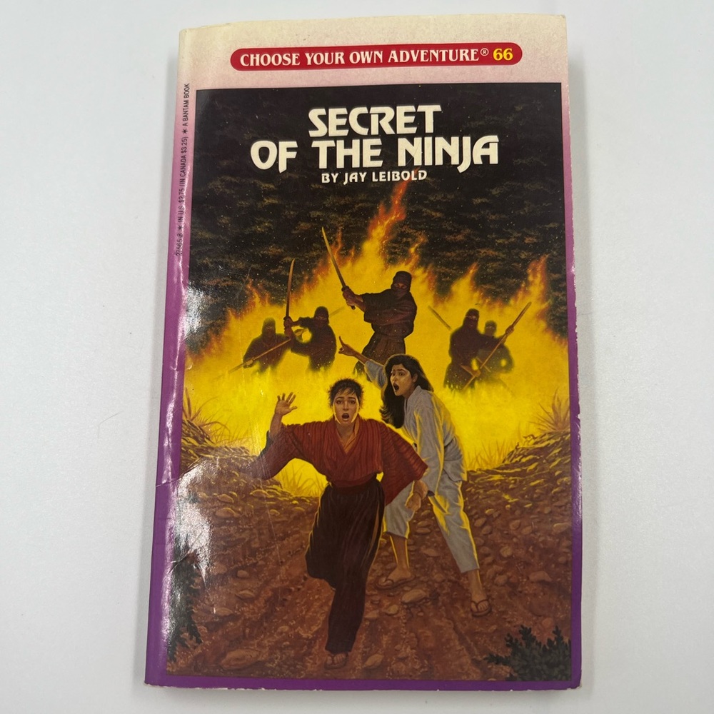 Choose Your Own Adventure Book Secret Of The Ninja